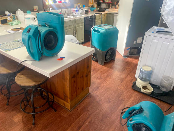 Best Water damage restoration insurance claims  in Rock Island, IL