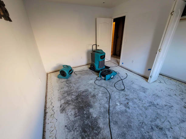 Best Flood damage cleanup  in Rock Island, IL