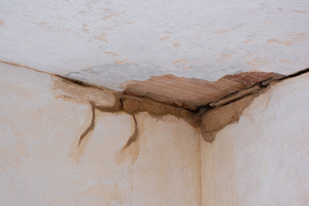 Best Fire Damage Restoration  in Rock Island, IL