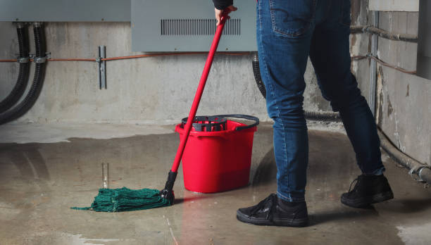 Water damage restoration mold remediation in Rock Island, IL