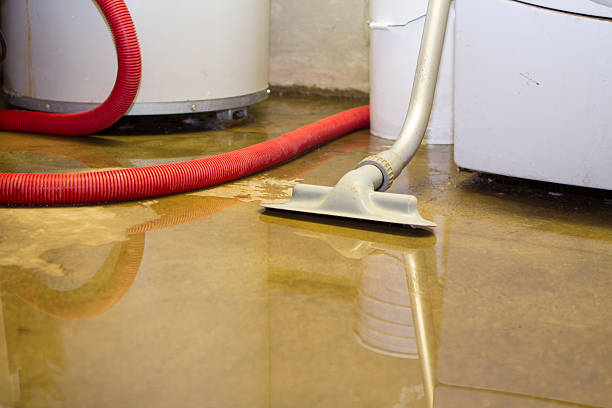 Best Commercial water damage restoration  in Rock Island, IL