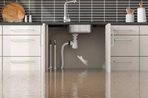 Best Local water damage restoration  in Rock Island, IL