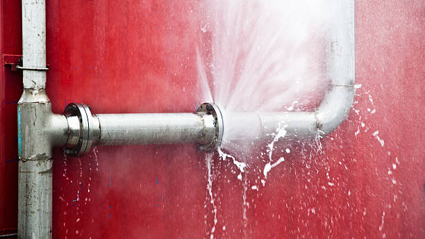 Best Flood restoration services  in Rock Island, IL